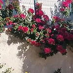 Vila Megi-Rent Room