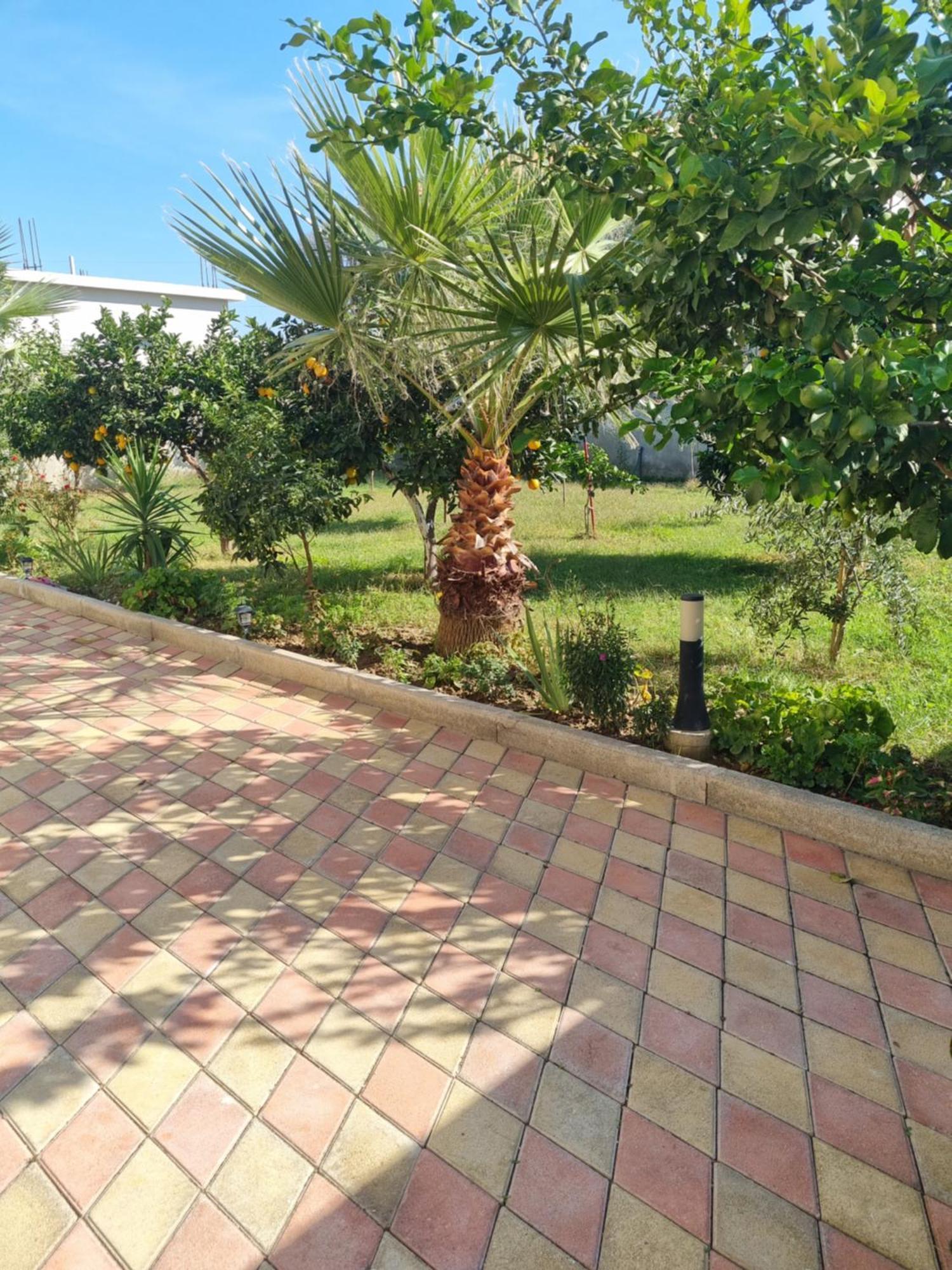 Apartament Megi-rent *