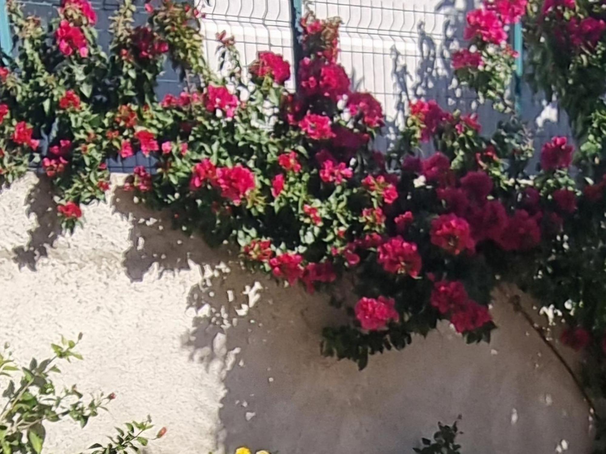 Apartament Megi-rent