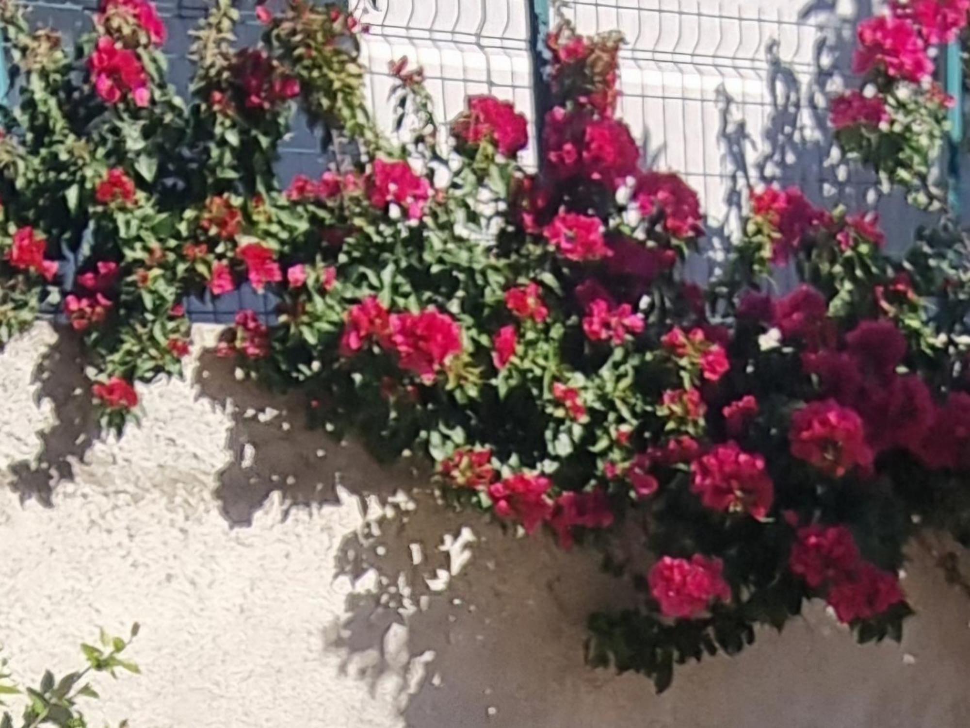 Apartament Megi-rent Wlora