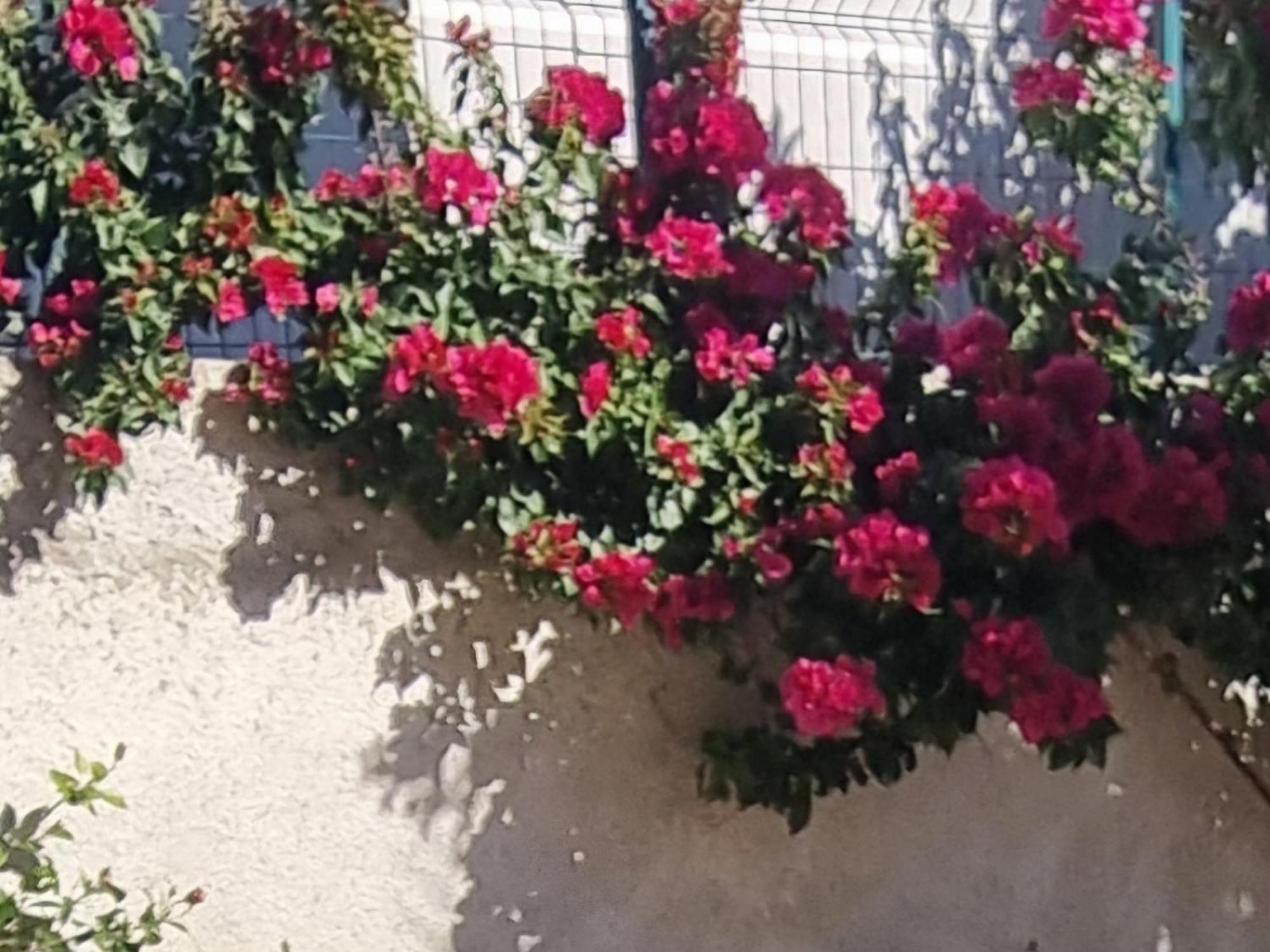 Megi-rent Apartament Wlora