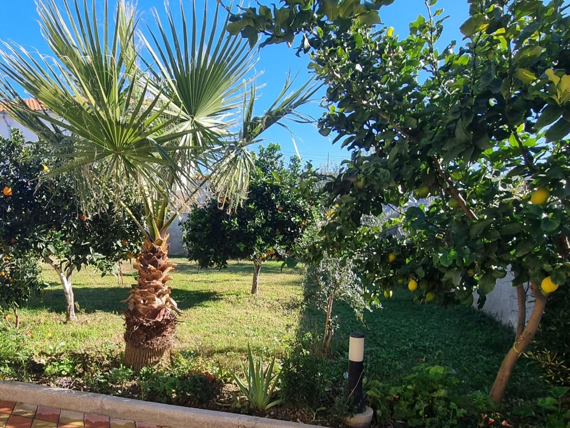 Megi-rent Apartament *